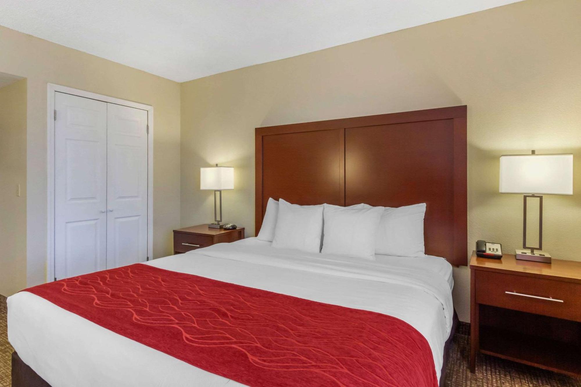 Comfort Inn St Petersburg North Sankt Petersburg Zewnętrze zdjęcie
